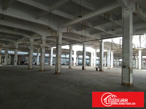 沥林工业区原房东独院标准厂房26600平方，高十米