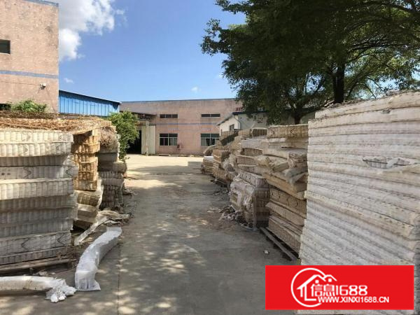 秋长镇新出原房东6000平方独门独院标准钢构厂房