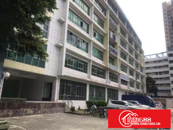 坪山区六联工业区一楼1100平米带精装修办公室厂房出租