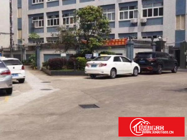 雁田布心新空出小独院2400平方水电齐全现成装修