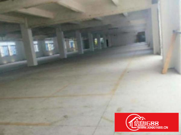 万江环城路外标准1800或1000㎡出租、水电齐全