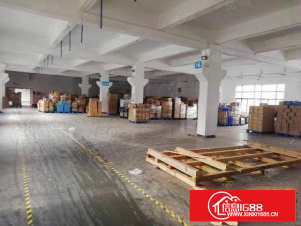 塘厦科苑城标准厂房1楼600平方！小面积！便宜租