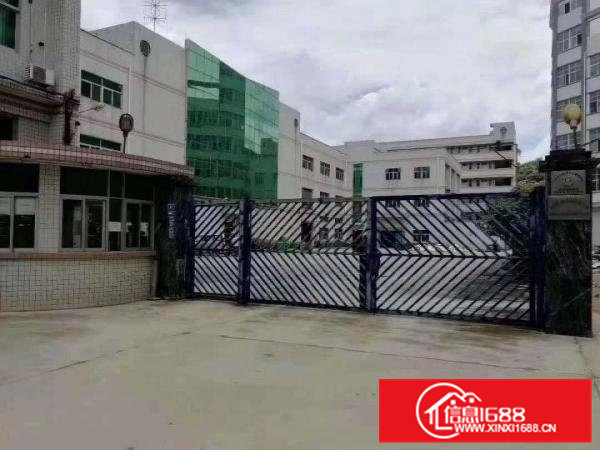 凤岗独院厂房出租12300平空地大，有红本好招工