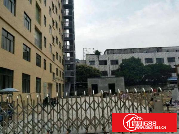 松岗碧头新出独栋厂房1000平方，可分租。