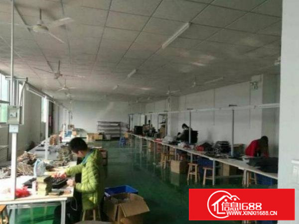 出租清溪厂房三楼900平米！有办公室装修