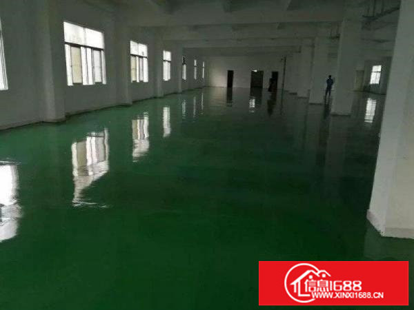 龙岗中心城新出独门独院厂房5200平出租可分租