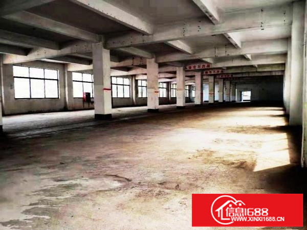 厂房招租300平可电商贸易办公生产特价出租紧邻盐田港交通便利