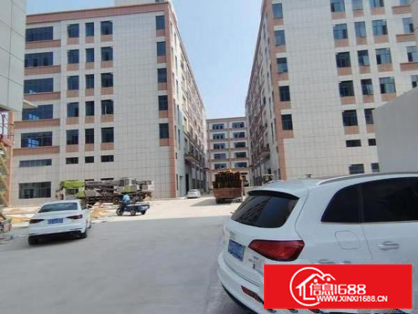 常平红本工业豪华装修厂房1000㎡起租，位于工业聚集地