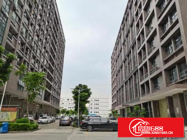 塘厦大坪社区新出970平厂房出租，空地大带红本