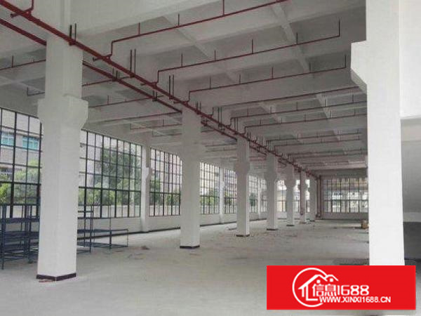 龙岗区同乐标准一楼厂房3000平米低价出租，可分租