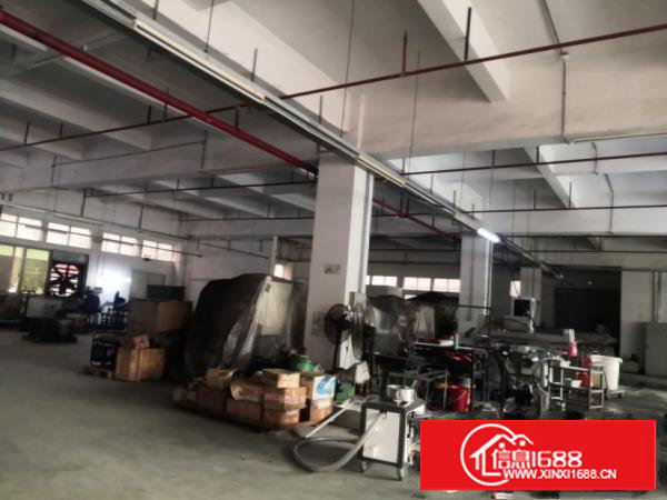 塘厦振兴围原房东出租，1楼1300平5米高带装修水电到位