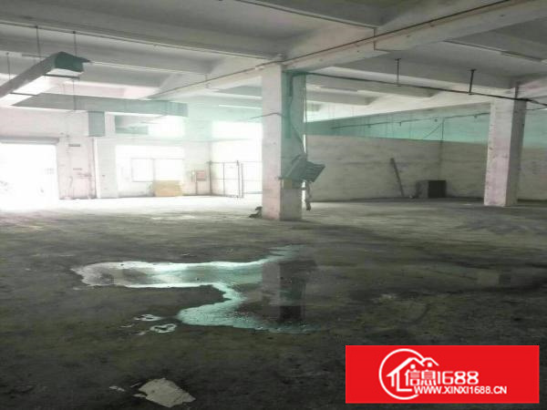 惠阳秋长白石黄氏工业园内分租标准一楼600平米平价