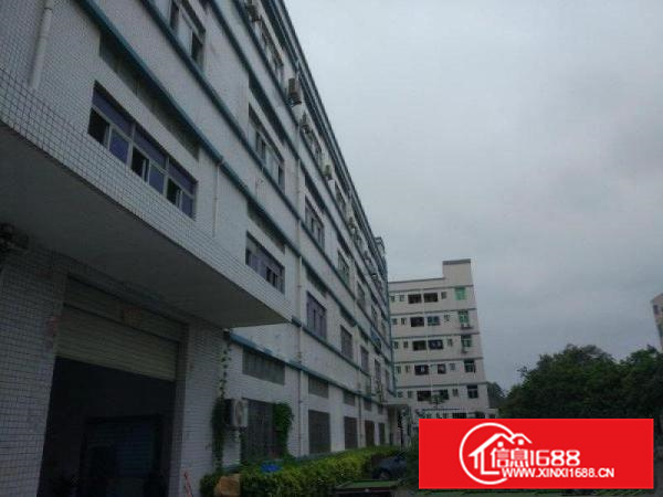 镇隆新出原房东厂房三栋29600平米出租可分租