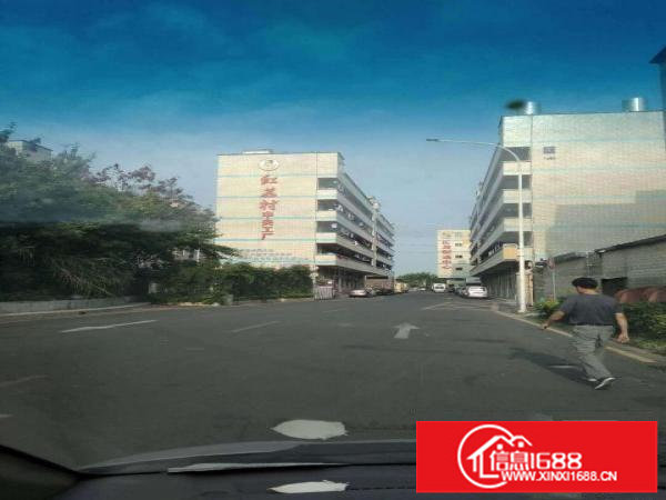 平湖广场附近1100平方独院一楼出租，适合五金塑胶