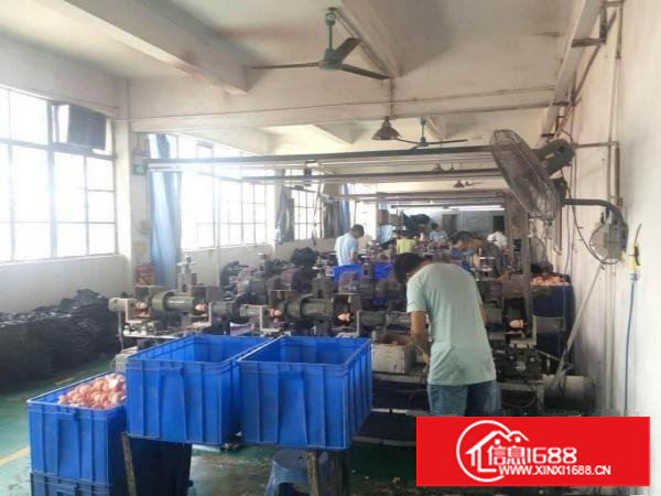 ~莲湖工业区1300平方标准3楼厂房，贸易电子，挨东深线~