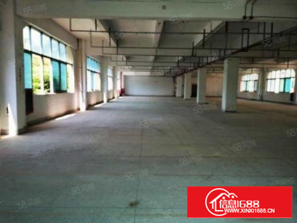 西乡厂房出租独院一手房东可分租