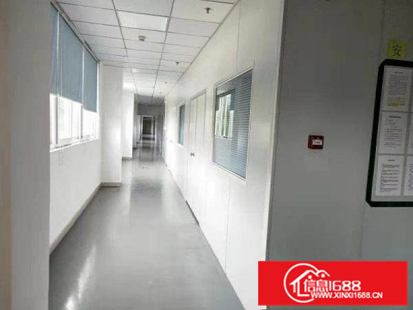 石井金田路边上新出一楼320平带行车实际面积出租