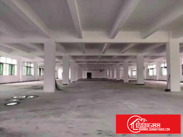 万江标准1800平米出租水电办公配套齐全