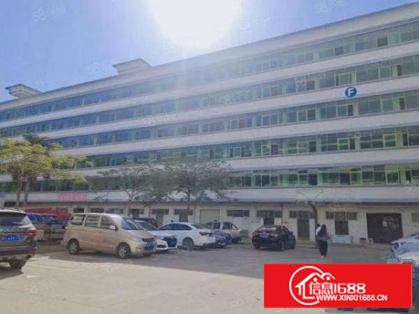 塘厦新出20000平米标准厂房出租可分租