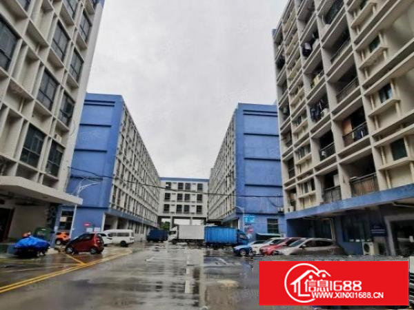 布吉上李朗原房东带卸货平台一楼2000平方厂房出租低价出租