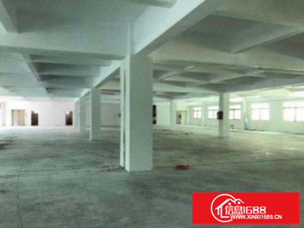 高埗4500平方独院标准厂房出租形象好交通方便可办环评