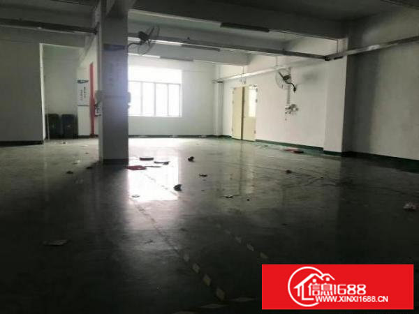 凤凰楼上带装修厂房2300平