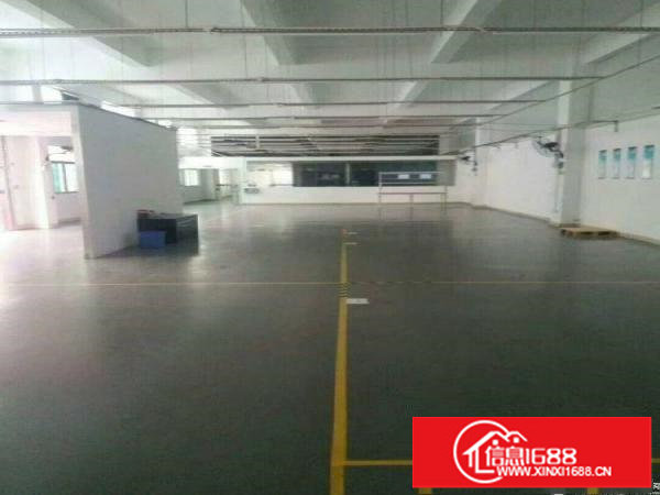 坪山石井新出原房东独院厂房6400平出租