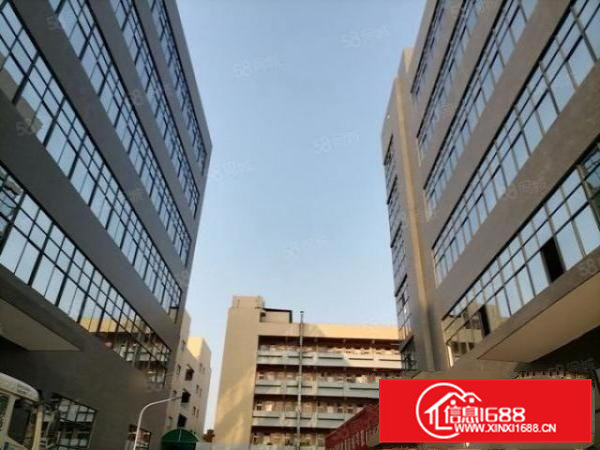 寮步政府政策扶持园区全新厂房出租