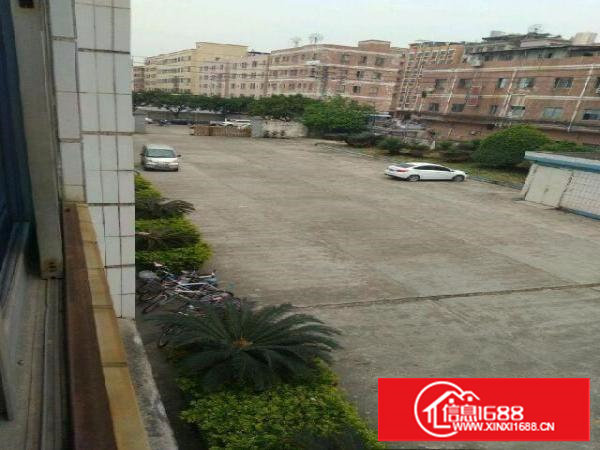 长安上沙独院厂房1800平，带宿舍500平可分租