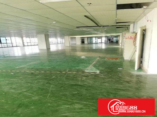 坪山大工业红本厂房出租1250平米，有前台位，形像好