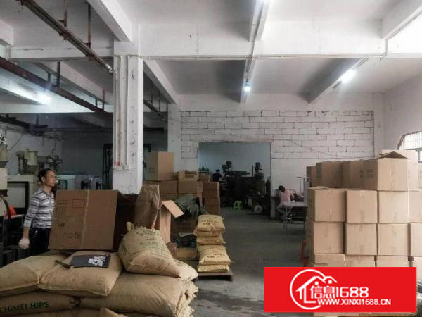 平湖标准精美小独院4300平招租（可分租）