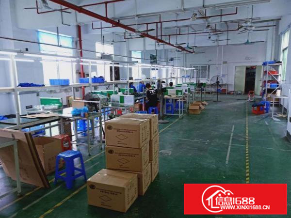 桥头，独独栋标准3000方原房东厂房，不限行业，价格优惠