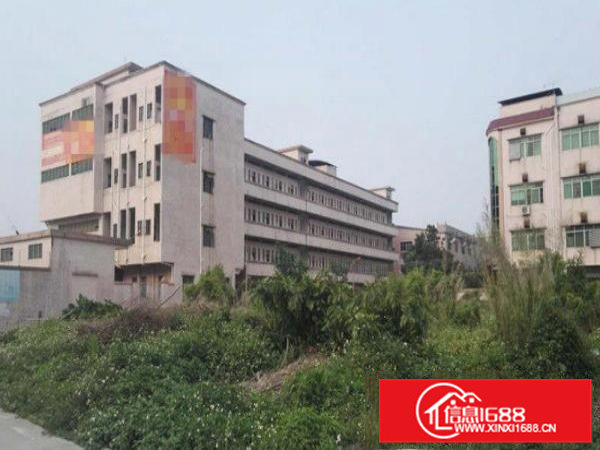 常平卢屋独院厂房5400平方抢租