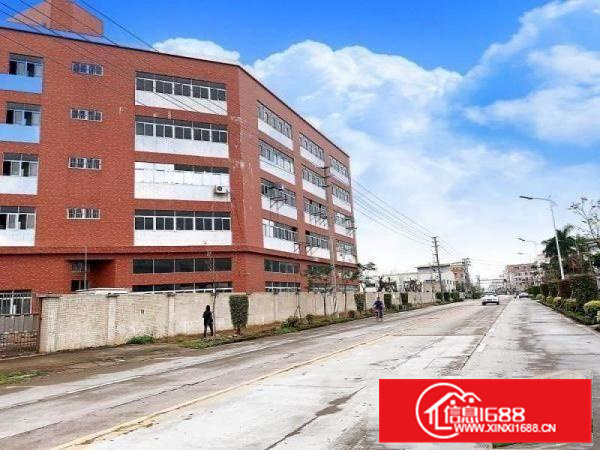 伦教业区标准厂房5200方、可分租、电大市政排污