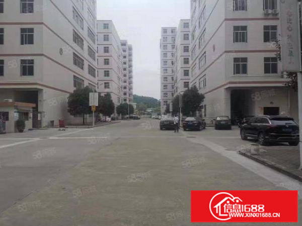 雁田精博3000平米一二楼对外招租！