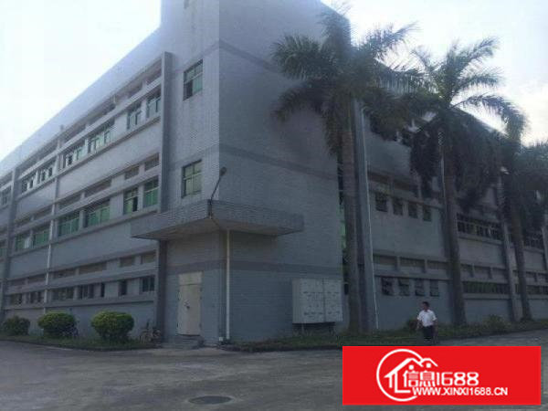 坪山大工业区1楼850平带精装办公室