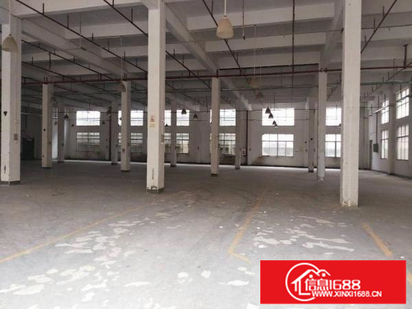 惠阳秋长新塘标准厂房招5000平米一楼高5米可分租