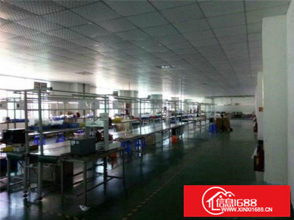 龙岗同乐原房东楼上1100平实际面积出租