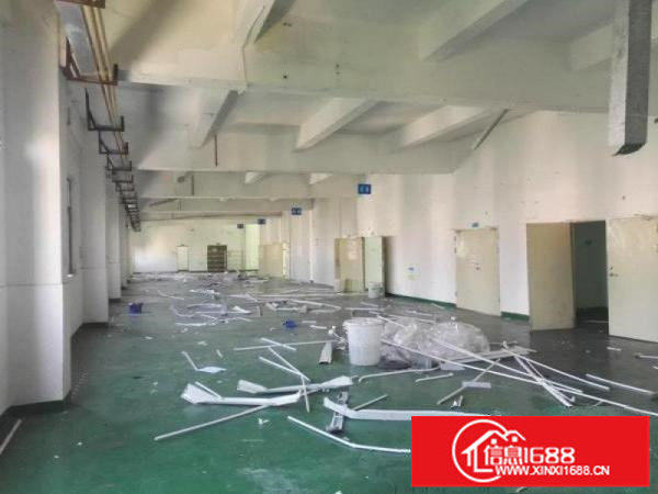 坪山碧岭新空置3楼1300平原房东红本厂房