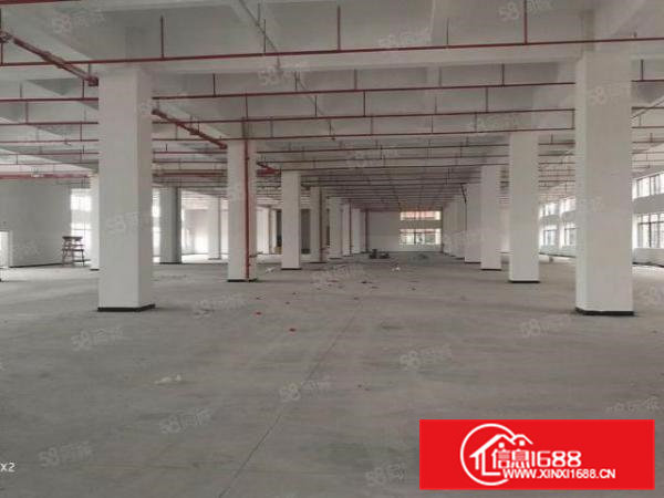 东莞桥头一手物业厂房无公摊，厂房层高8米，不限承重！