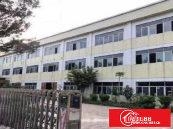 高埗花园式厂房分租一楼1000平方，价格便宜,地段好