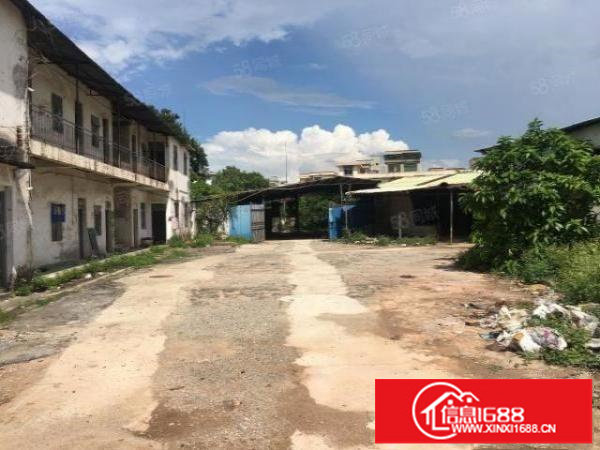 坪山坑梓一楼厂房加空地，独门独院钢结构厂房15元一平