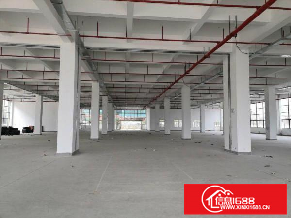 惠阳区沙田S356省道边独院厂房22000平方出租