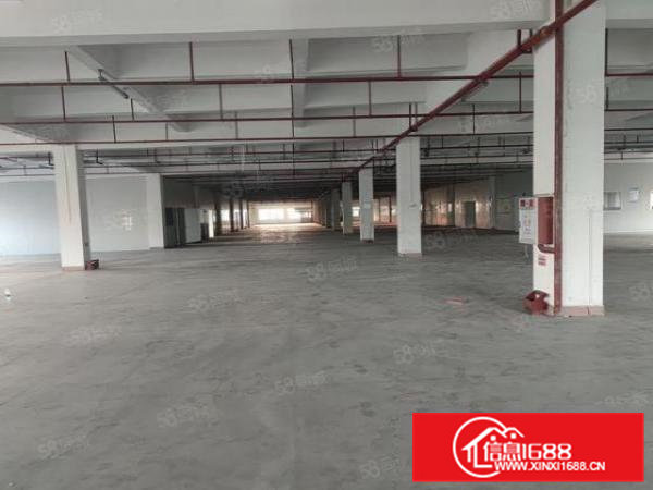 东莞工业聚集区内独院厂房，电直接过户，超大空地，原房东厂房