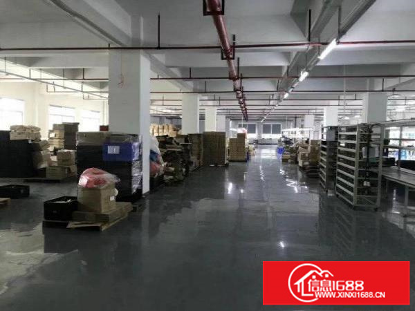 龙岗业主直租4500平方独院厂房出租大小分租