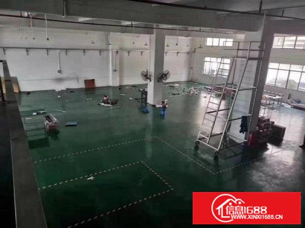 大朗新出小独院面积2000平，带消防喷淋