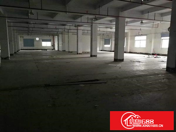 凤岗独栋厂房14层，单层面积5600平方
