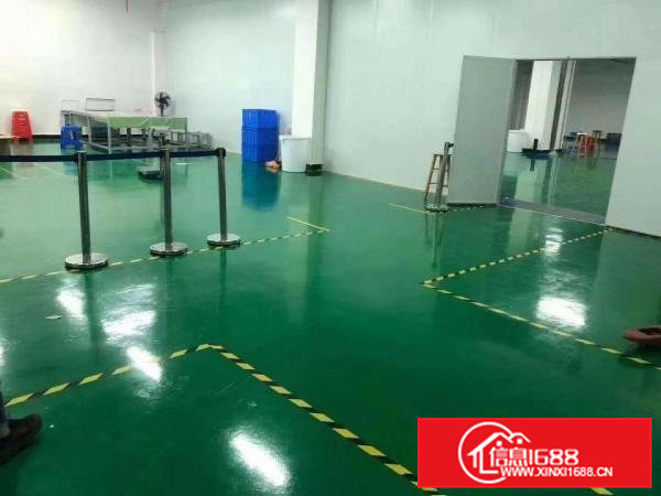 寮步工业区标准厂房分租楼上1000平方招租租