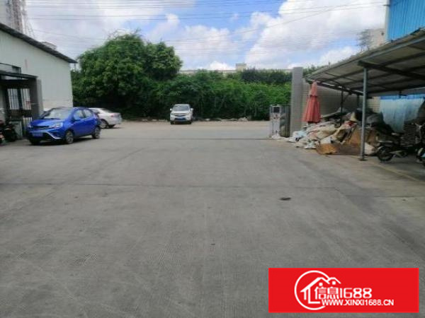 不在改造范围，形象好，顺德勒流1800方标准厂房出租