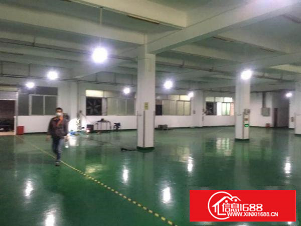 ~Hot：沙湖1000平米带地坪漆和照明一楼厂房：挨蛟乙塘~